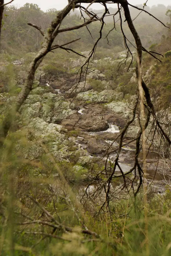 Dangar Gorge (34)